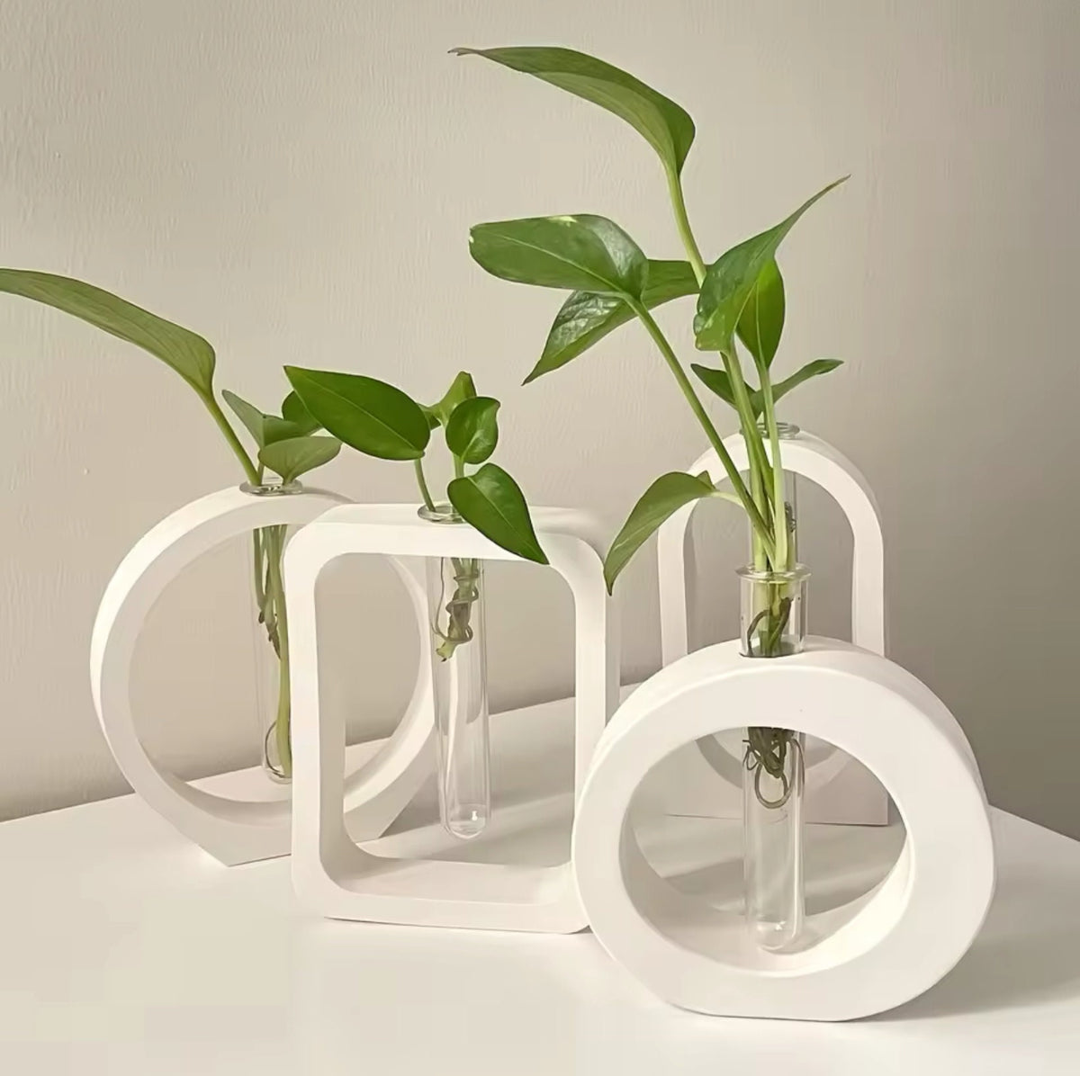 Jesmonite Hydroponic Vase for Modern Propagation in Nordic Style